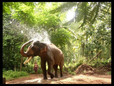About Kerala